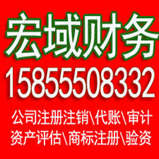 临泉安徽营业执照注册代理 注册公司代理 代理记账